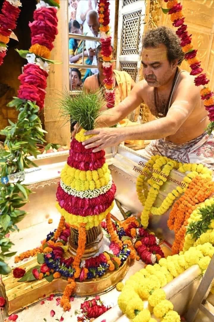 Kashi Vishwanath Temple - Kashi Vishwanath Temple VV42+CRF, Barodiya Ema, Madhya Pradesh 453551, India