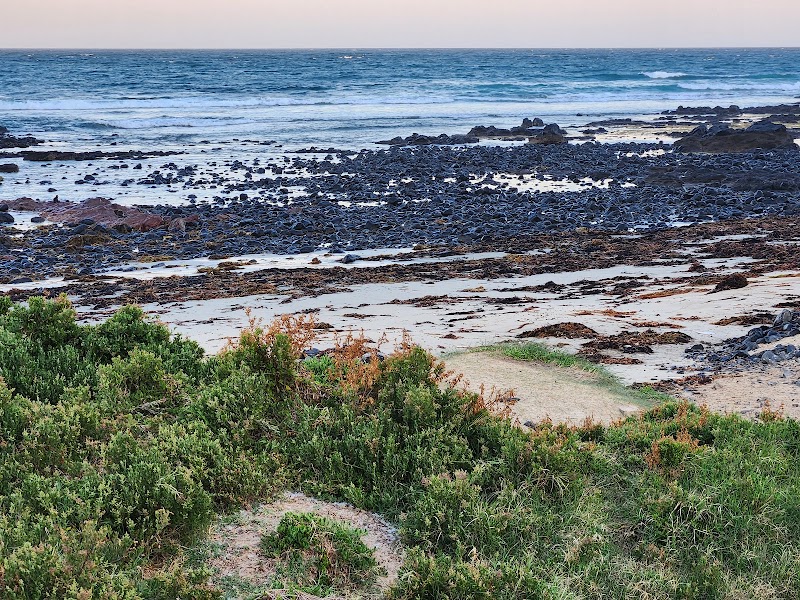 Penguin Parade - Penguin Parade, 1019 Ventnor Rd, Summerlands VIC 3922, Australia