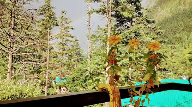 BlueMoon Homestay Kasol - BlueMoon Homestay Kasol near Shambu momos corner, Kasol, Sosan, Himachal Pradesh 175105, India