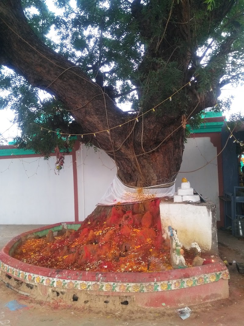 AP Tourism Hotel - AP Tourism Hotel J22G+VF5, NH 16, Tada, Tada Khandrika, Andhra Pradesh 524401, India