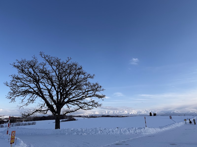 Patchwork Road (Biei) - Patchwork Road (Biei) 北海道上川郡美瑛町大久保協生, Asahi, Biei, Kamikawa District, Hokkaido 071-0216, Japan