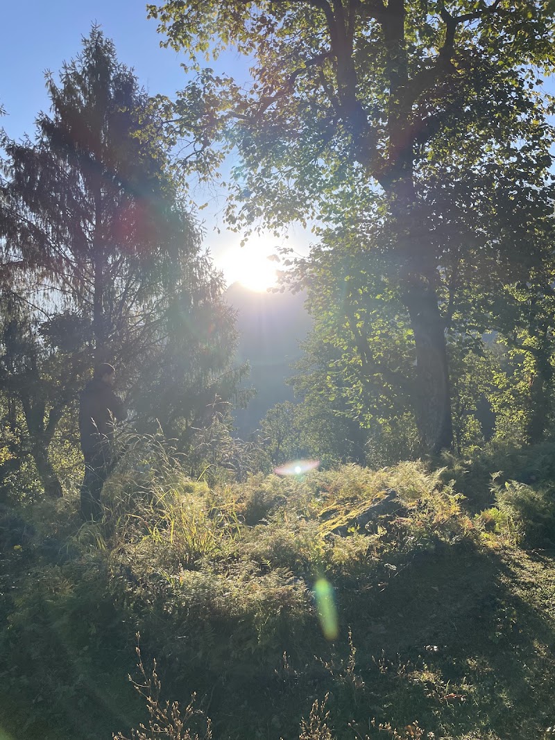 Tali Forest - Tali Forest, FHMP+QM, Kundikhola, Uttarakhand 246483, India