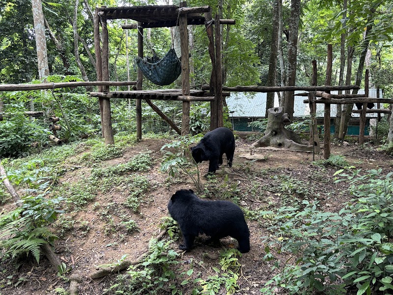 Tat Kuang Si Bear Rescue Centre, Free the Bears - Tat Kuang Si Bear Rescue Centre, Free the Bears, ຫຼວງພຣະບາງ, Lào, Ban Long, Laos
