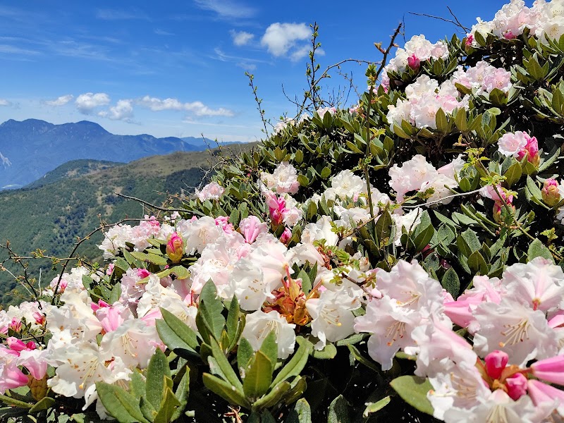 Hehuanshan Main Peak Trail - Hehuanshan Main Peak Trail Ren’ai Township, Nantou County, Taiwan 546