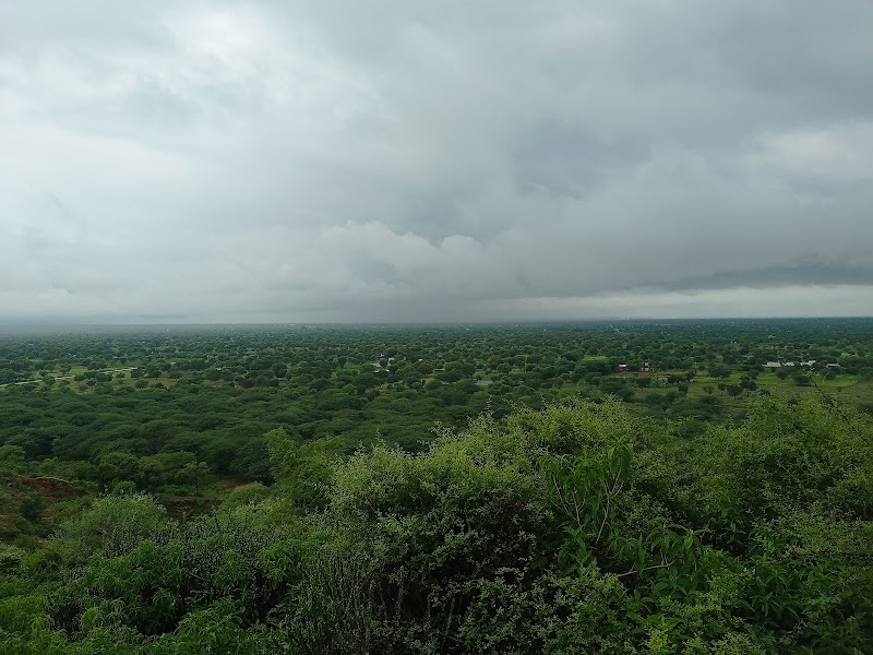 Dadar hills jaipur - Dadar hills jaipur 3MJ3+W9J, Jairampura, Rajasthan 303701, India