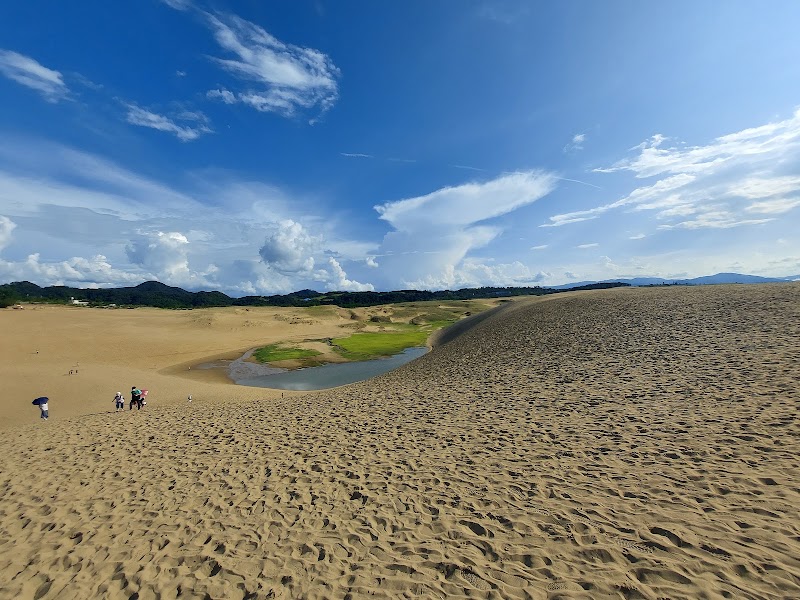 Tottori Sand Dunes - Tottori Sand Dunes, 2164-971 Fukubechō Yuyama, Tottori, 689-0105, Japan