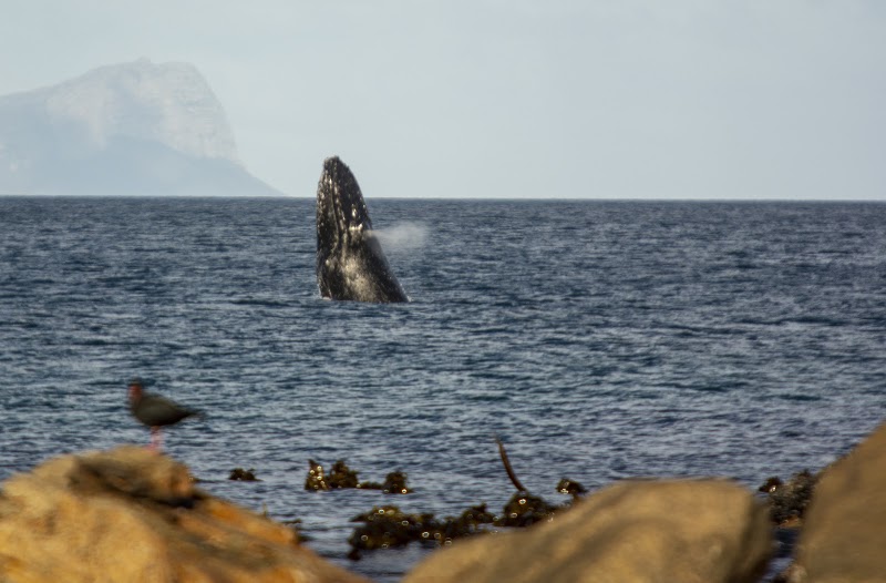 Glencairn Beach - Glencairn Beach, Main Rd, Cape Town, 7975, South Africa