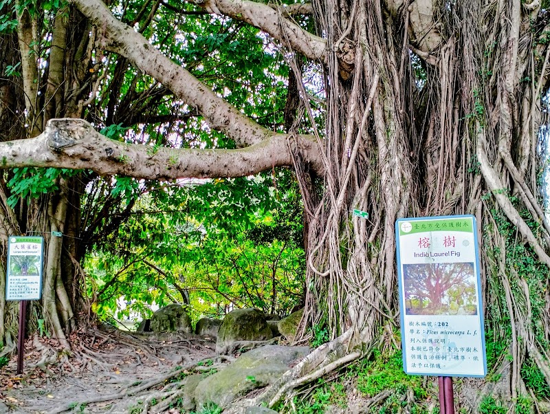 Jieshou Park - Jieshou Park, Ketagalan Blvd, Zhongzheng District, Taipei City, Taiwan 100