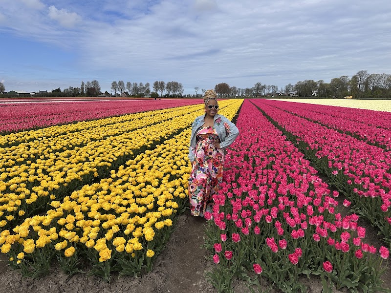 Flagship Tours - Departure Location - Flagship Tours - Departure Location, Termini 27, 1025 AZ Amsterdam, Netherlands