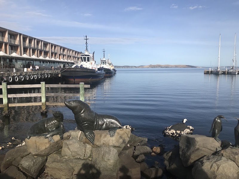 Waterfront Harbour - Waterfront Harbour, Victoria Dock Bridge, Franklin Whrf, Hobart TAS 7000, Australia