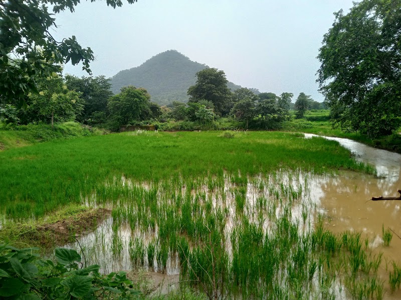 SALEMUDGA BO - SALEMUDGA BO, CP8V+HGR, Charpani, Odisha 767060, India