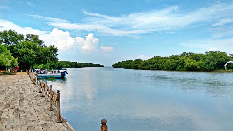 Coringa Wildlife Sanctuary - Coringa Wildlife Sanctuary, R7CX+F8V, Korangi, Kakinada, Andhra Pradesh 533461, India