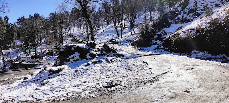 Track to Khalia Top - Track to Khalia Top Track to Khalia Top, Uttarakhand 262554, India