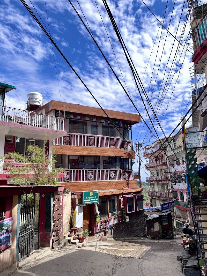 Auspicious Him View Hotel - Auspicious Him View Hotel Jogiwara Rd, McLeod Ganj, Dharamshala, Himachal Pradesh 176215, India
