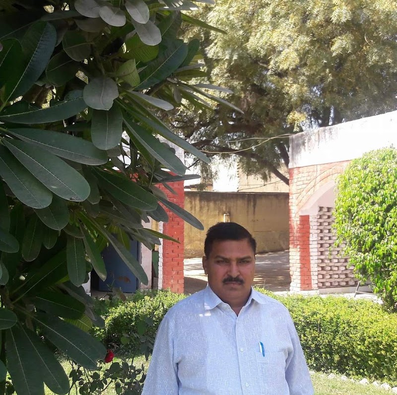Government Senior Secondary School - Government Senior Secondary School, Unnamed Road, 94V2+9J6, Kadarpur Rd, Kadarpur Road, Gurugram, Haryana 122098, India