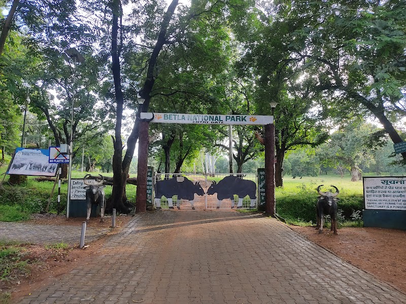 Sanjay National Park - Sanjay National Park, Belgaon, Madhya Pradesh 486669, India