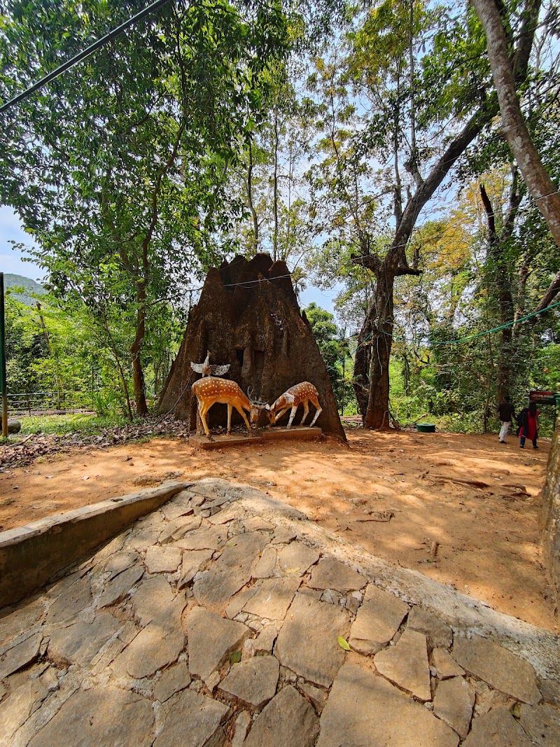 Janaki Forest - Janaki Forest, JQGV+79Q, Maruthonkara, Kerala 673513, India