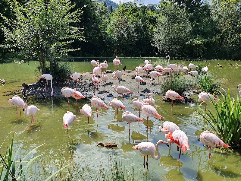 Dählhölzli - Dählhölzli Tierparkweg 3, 3005 Bern, Switzerland