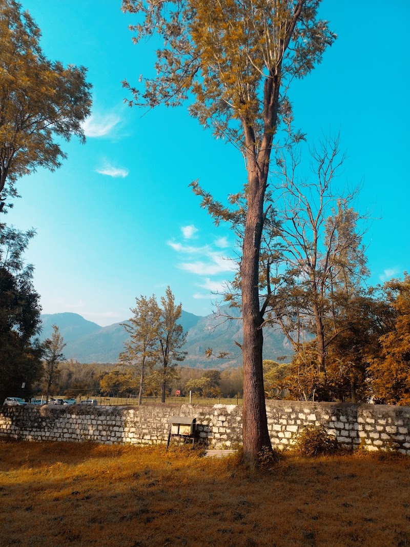 Green Park Resorts - Green Park Resorts Singara Rd, Masinagudi, Tamil Nadu 643223, India