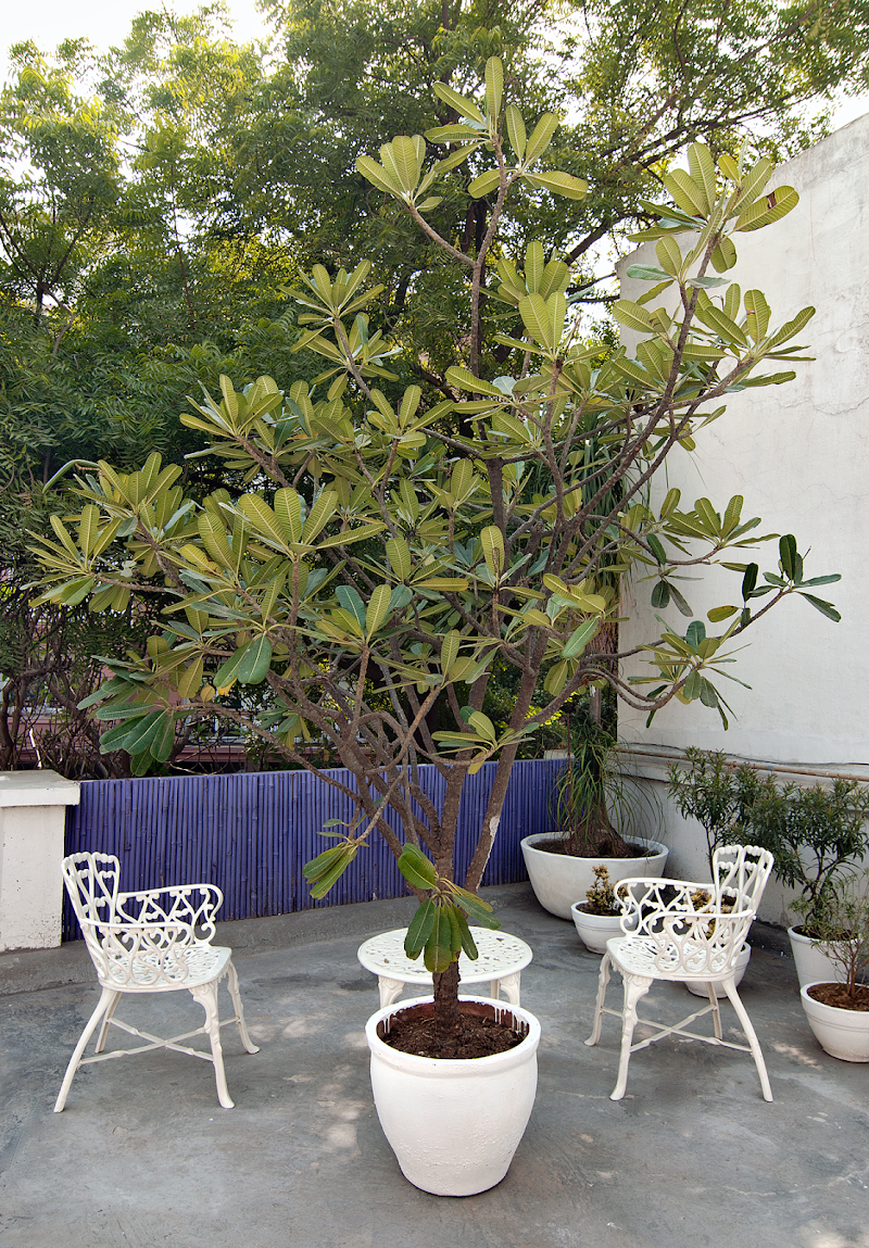 Haveli Hauz Khas - Haveli Hauz Khas G6W2+XG3, P5, Block P, Hauz Khas Enclave, Hauz Khas, New Delhi, Delhi 110016, India