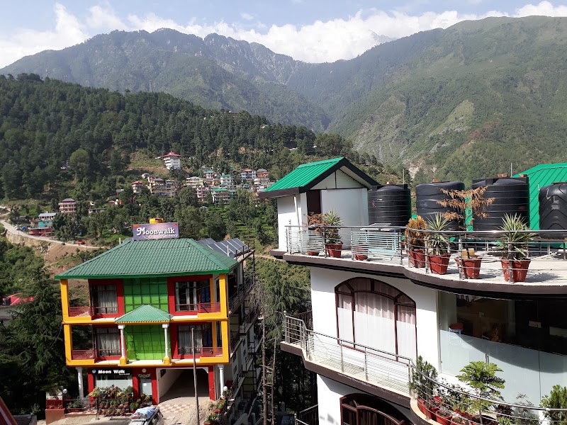 Auspicious Him View Hotel - Auspicious Him View Hotel Jogiwara Rd, McLeod Ganj, Dharamshala, Himachal Pradesh 176215, India