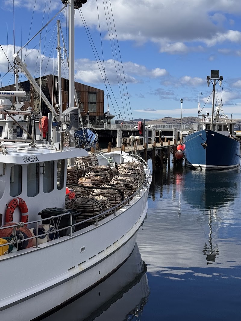 Waterfront Harbour - Waterfront Harbour, Victoria Dock Bridge, Franklin Whrf, Hobart TAS 7000, Australia