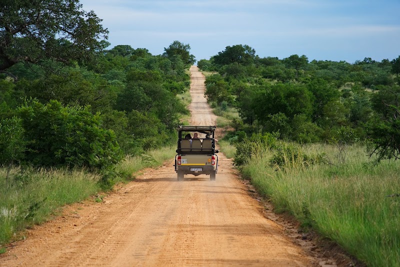 Kruger Wildlife Safaris - Kruger Wildlife Safaris, Pretoriuskop Rest Camp, Kruger National Park, 1350, South Africa