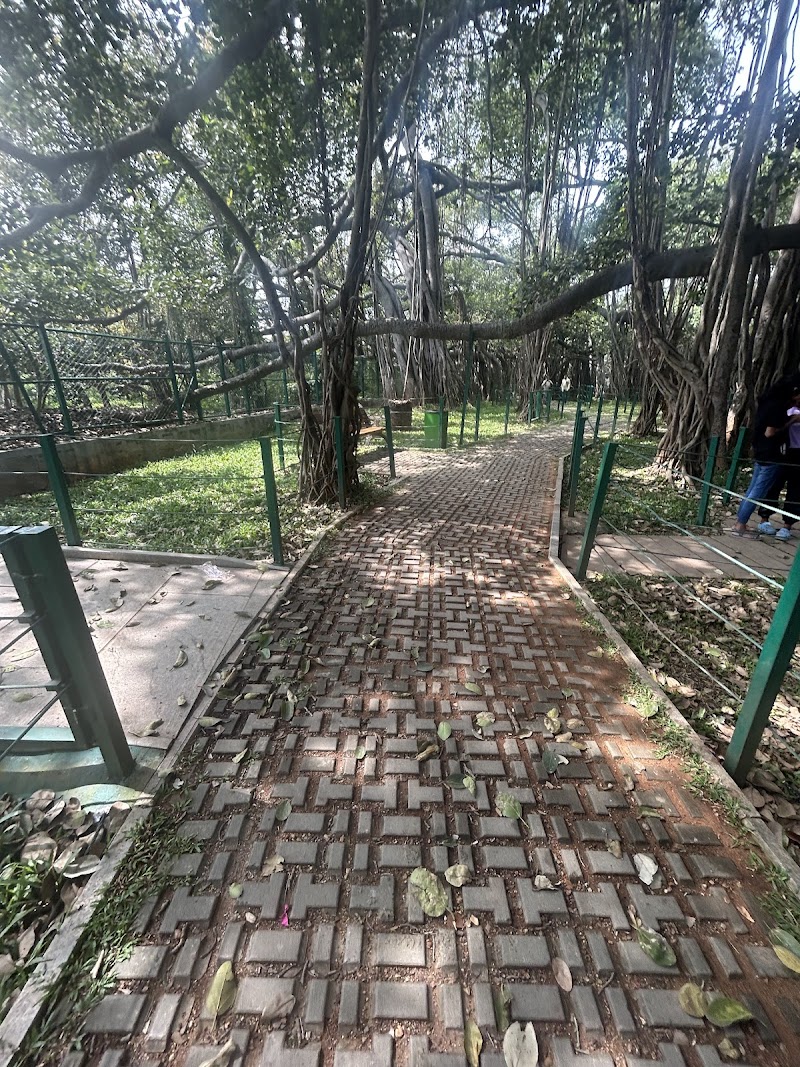 Big Banyan Tree - Big Banyan Tree, 2087, 24th Main Rd, Vanganahalli, 1st Sector, HSR Layout, Bengaluru, Karnataka 560102, India