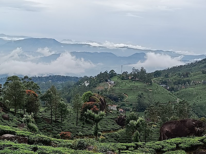 CJ valley view Cottage in Pothamedu Tea Estate, Munnar (CJ Hotel and Resort)) - CJ valley view Cottage in Pothamedu Tea Estate, Munnar (CJ Hotel and Resort)) 3336+XQ5, Devikulam, Kerala 685612, India