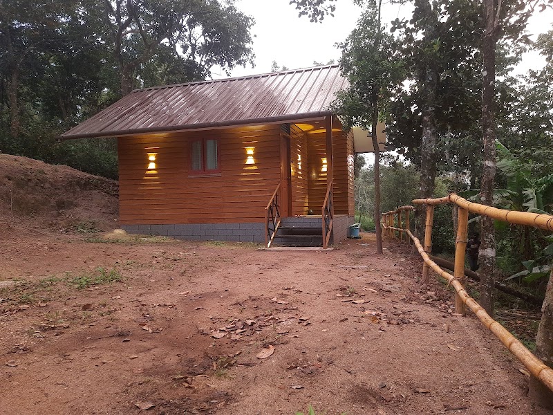 Mountainmist Wooden Cottages - Mountainmist Wooden Cottages, R66Q+FJ7, Ramakkalmedu, Kerala 685552, India