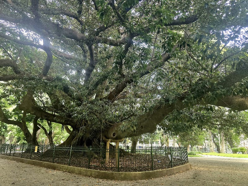 Plaza General San Martín - Plaza General San Martín, Buenos Aires, C1006 Buenos Aires, Argentina
