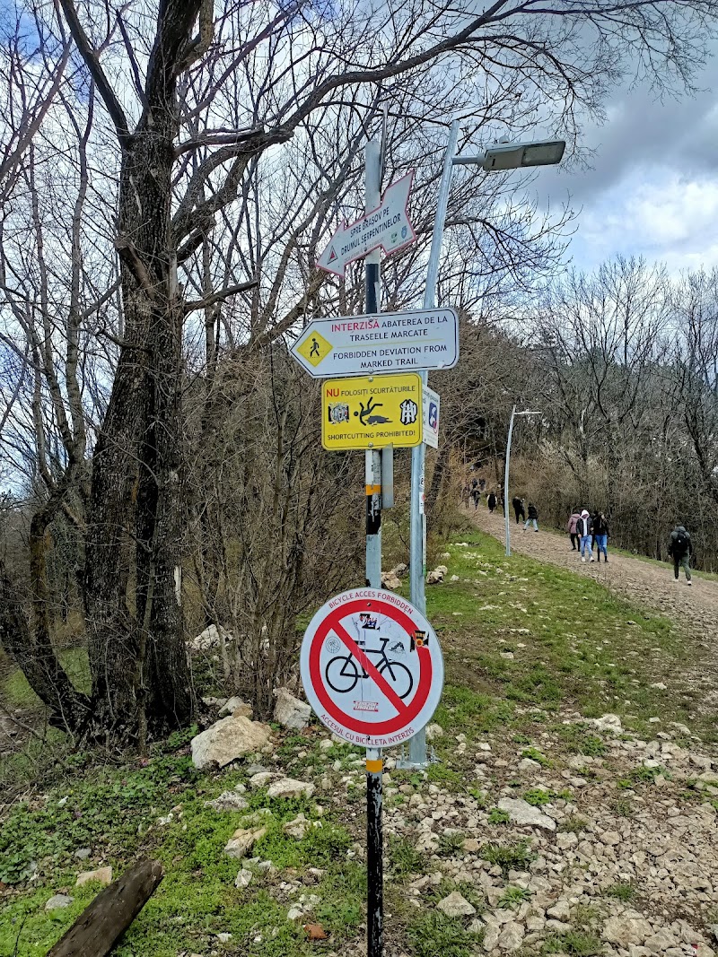 Belvedere Tâmpa - Belvedere Tâmpa, Muntele Tâmpa, Brașov, Romania