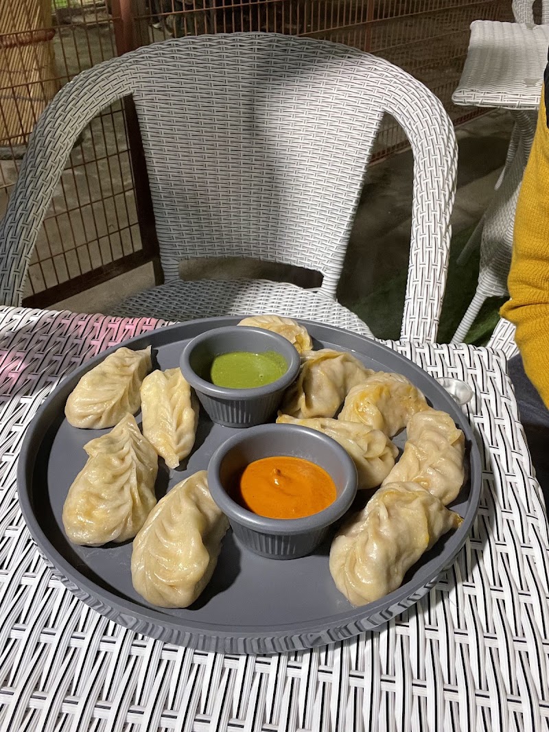 Savourista Tandoor & Curry