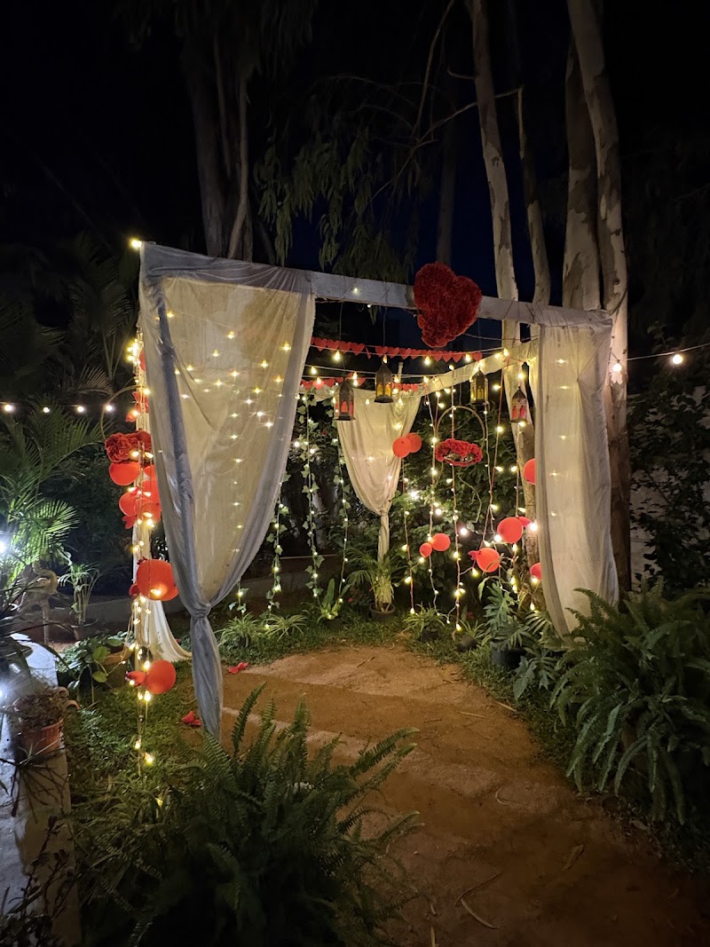 Nivys Resto Cafe & Garden Centre - Nivys Resto Cafe & Garden Centre SY No. 98/1, 98/4, Haralur Main Rd, opposite to PNR Felicity / Reliance / Cinephile Birla Circle, HSR Extension, Lakedew Residency, HSR Layout, Bengaluru, Haralur, Karnataka 560102, India