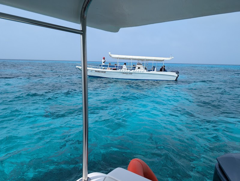 Daymaniyat Islands Sea Tours Oman - Daymaniyat Islands Sea Tours Oman, Al Mouj Marina, Muscat 111, Oman
