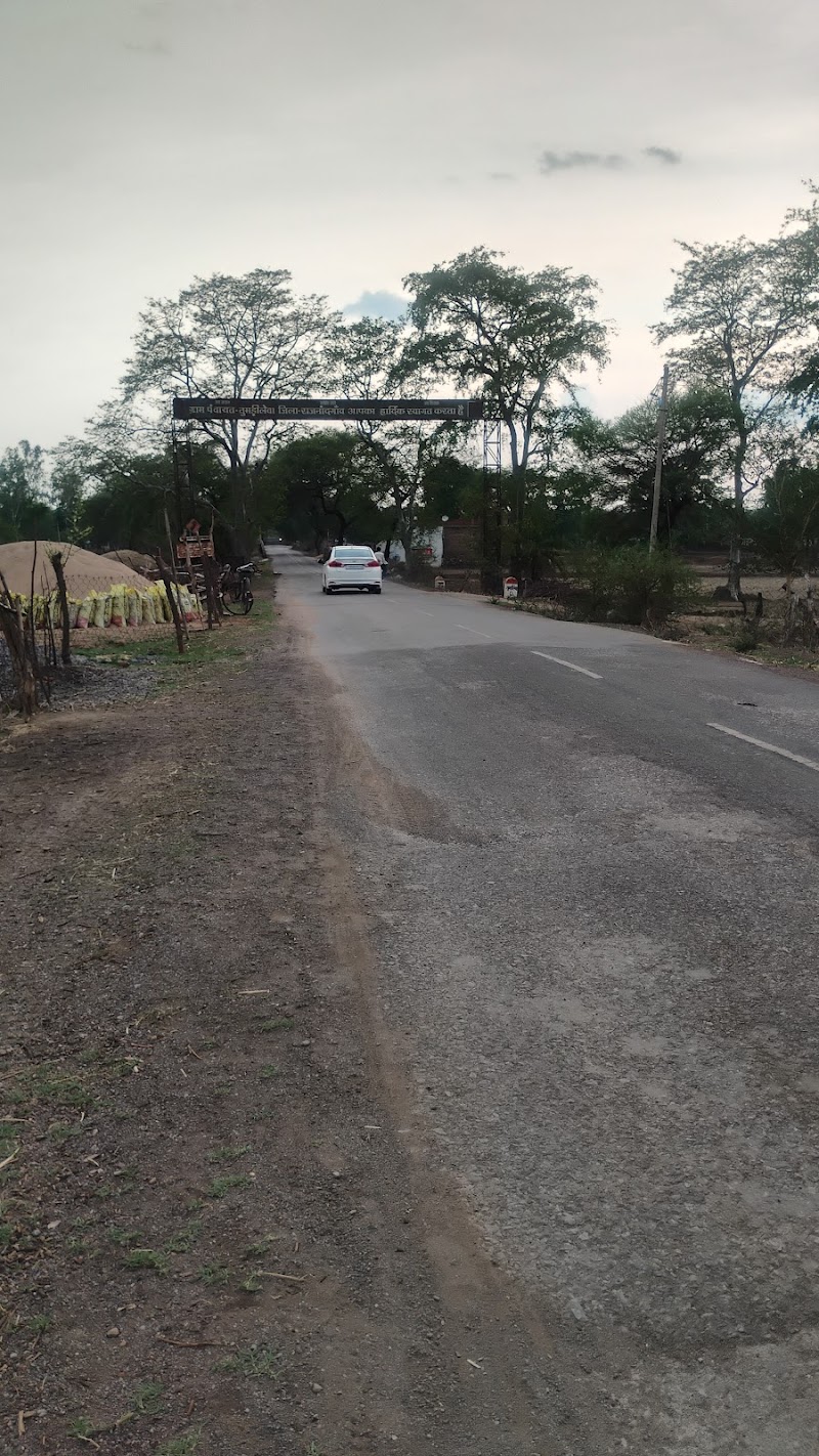 Pravesh dwar tumdilewa - Pravesh dwar tumdilewa, 5474+FHX, Parewadeeh, Tumdi Lewa, Chhattisgarh 491443, India