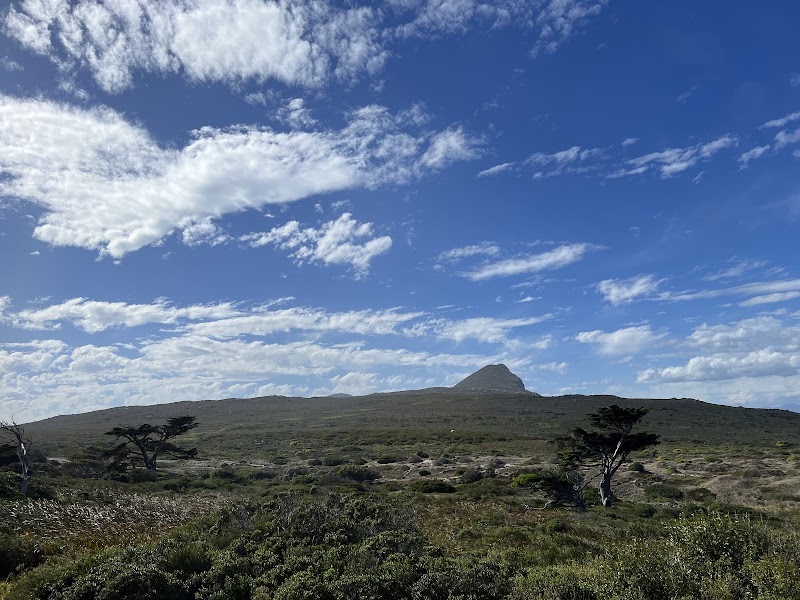 Cape of Good Hope - Cape of Good Hope, Cape Peninsula, Cape Town, South Africa
