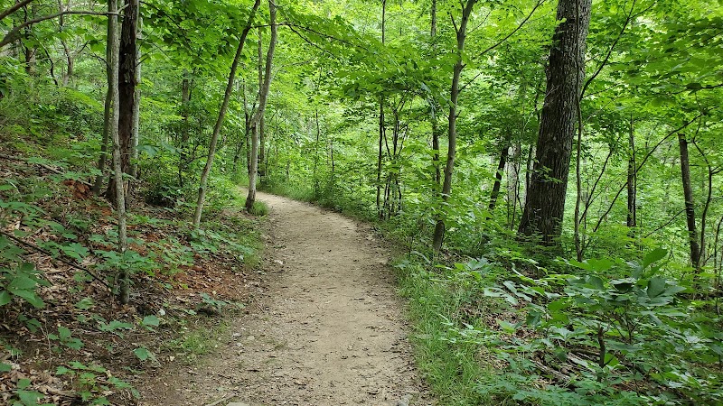 Bull Gap Trailhead - Rattlesnake Lodge Trail - Bull Gap Trailhead - Rattlesnake Lodge Trail 667 State Rd 2109, Weaverville, NC 28787, USA