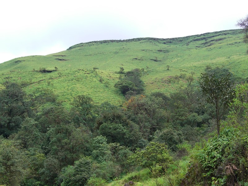 Kemmangundi - Kemmangundi, Thigada, Karnataka 577129, India