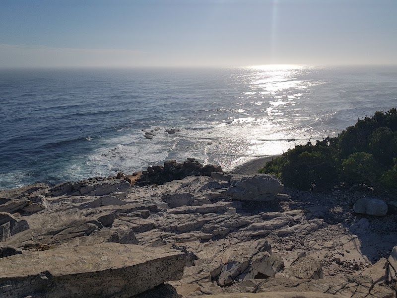 Cape Of Good Hope footpath - Cape Of Good Hope footpath, Cape Peninsula, Cape Town, South Africa