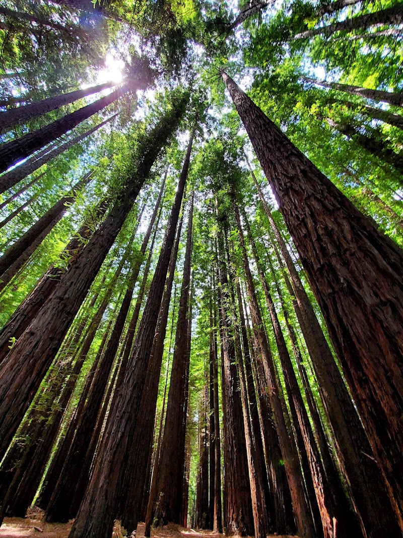 Yarra Ranges National Park - Yarra Ranges National Park, Lockwood Rd, Reefton VIC 3799, Australia