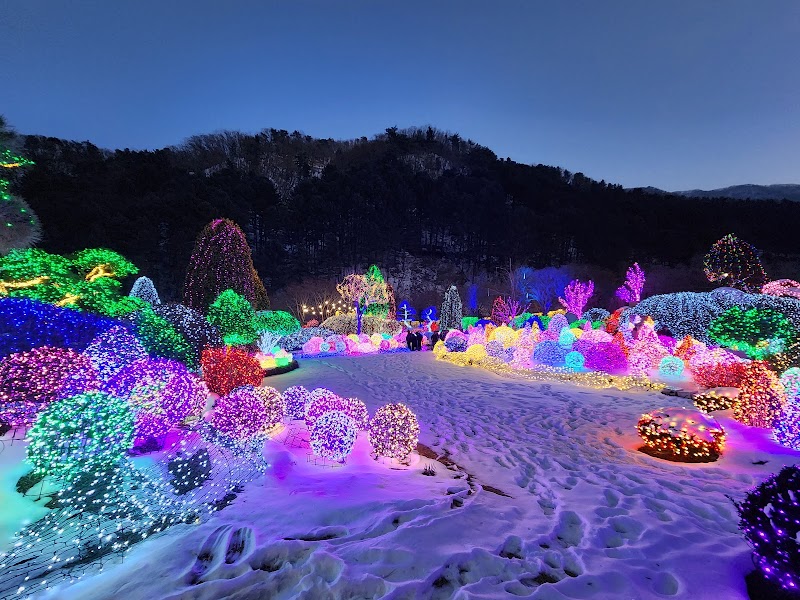 Garden of Morning Calm - Garden of Morning Calm, 432 Sumogwon-ro, Sang-myeon, Gapyeong-gun, Gyeonggi-do, South Korea