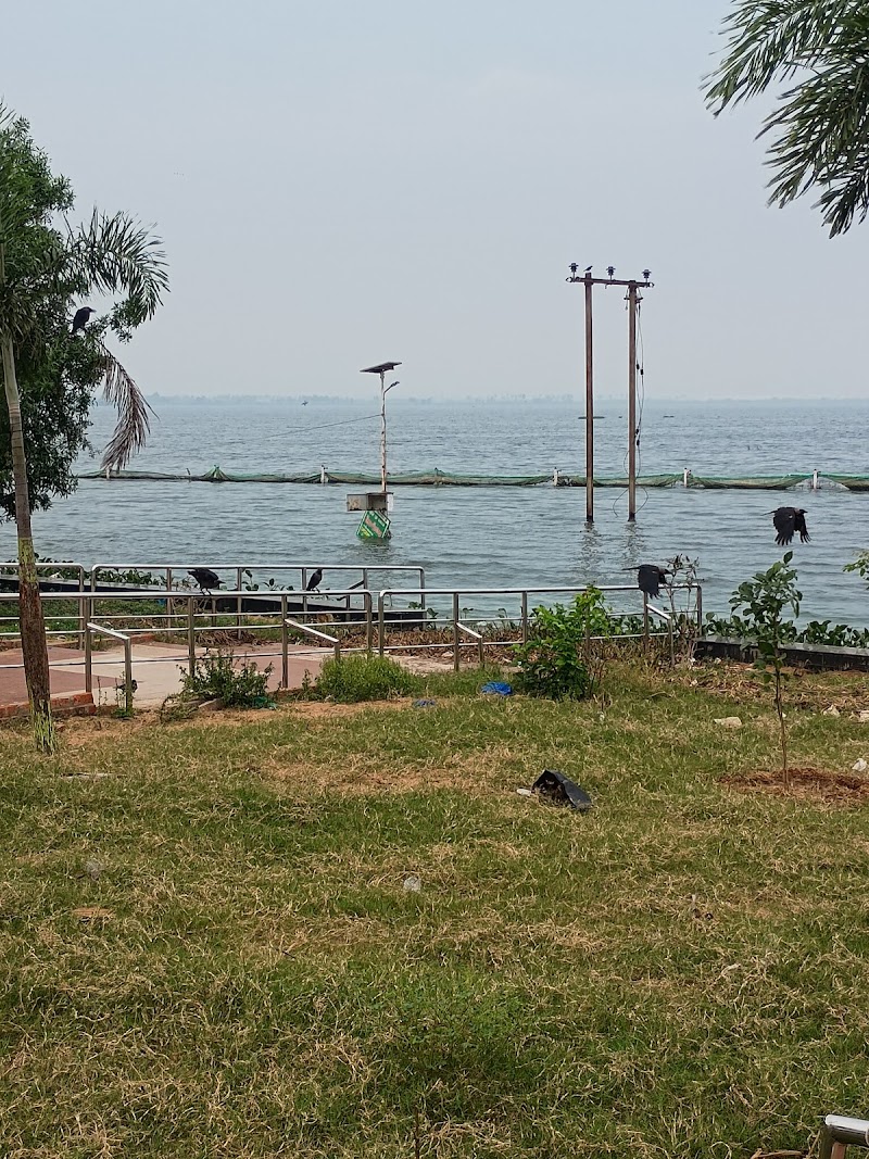 Swarnala cheruvu view point - Swarnala cheruvu view point CXQ6+2WF, Ambedkar Nagar, Nellore, Andhra Pradesh 524003, India