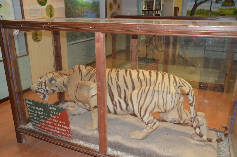Dhangarhi Gate and Museum - Dhangarhi Gate and Museum 121, National Highway, Dogadda Range, Uttarakhand 244715, India