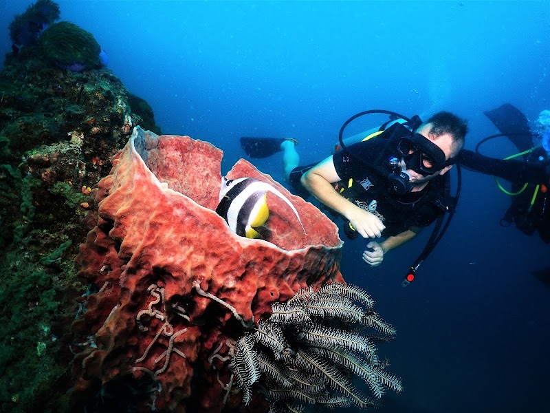 Phi Phi Barakuda Scuba - Dive Center, Diving Phi Phi Island - Phi Phi Barakuda Scuba - Dive Center, Diving Phi Phi Island PQRF+49Q, Ko Phi Phi Don, ตำบล อ่าวนาง อำเภอเมืองกระบี่ กระบี่ 81000, Thailand