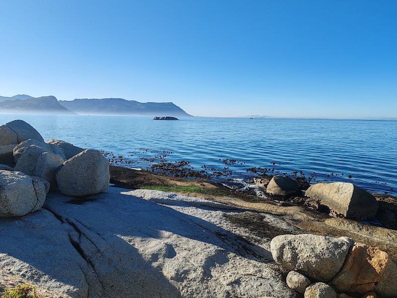 Boulders Beach - Boulders Beach, Simon's Town, Cape Town, 7995, South Africa