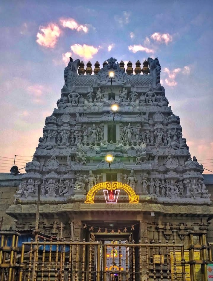 Sri Govindaraja Swamy Temple - Sri Govindaraja Swamy Temple, North Mada Street, Tirumala, Tirupati, Andhra Pradesh 517501, India
