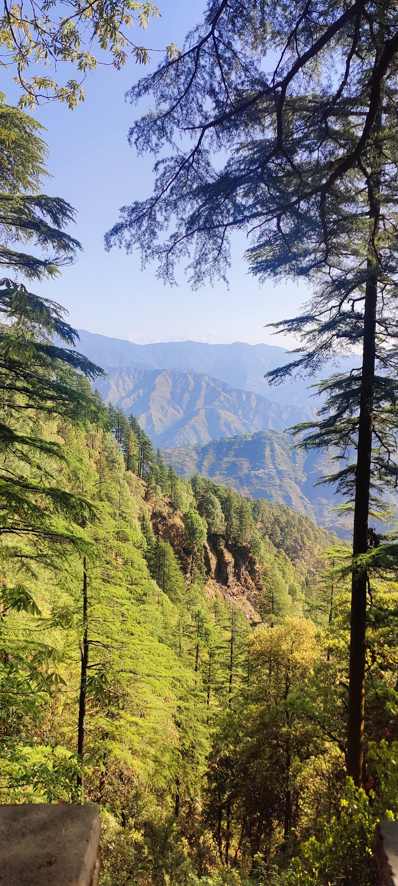 Landour Villa & Cottage - Landour Villa & Cottage, F37V+2JH, Naya Mohalla, Landour, Mussoorie, Uttarakhand 248179, India