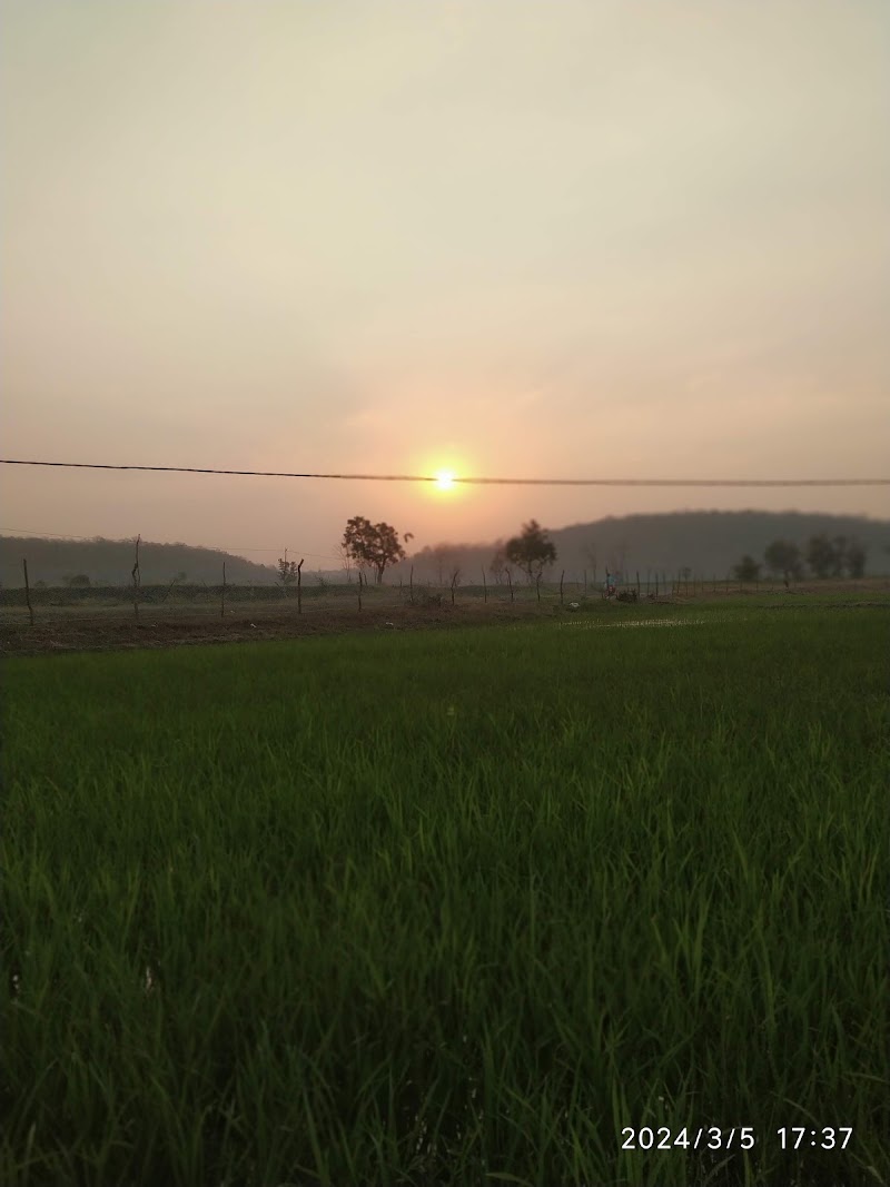 MULLEGUDA PIG FARM - MULLEGUDA PIG FARM, J6PQ+PQ, Mullegura, Chhattisgarh 491227, India