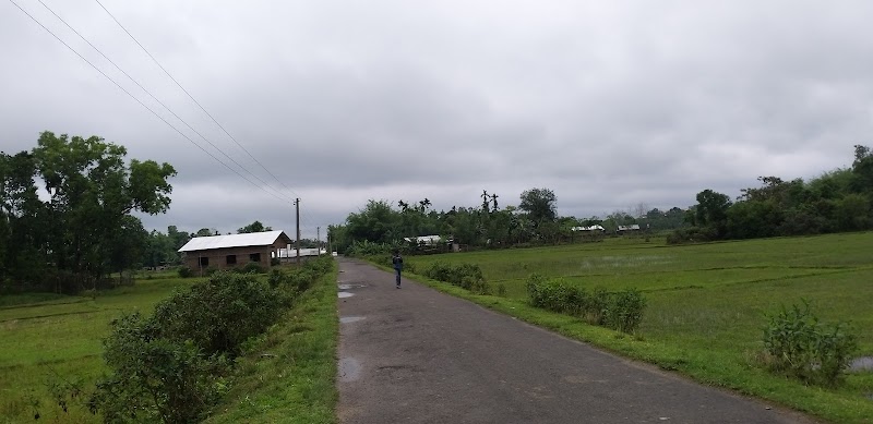 Cinnamara - Cinnamara, Jorhat, Assam, India